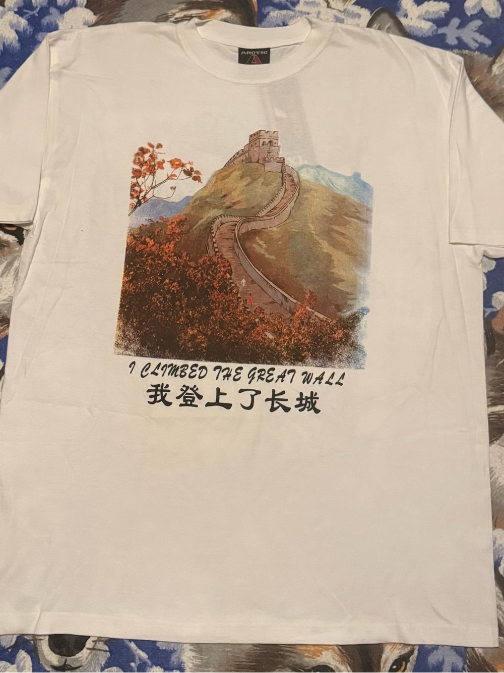 White Great Wall Graphic Art Tee by